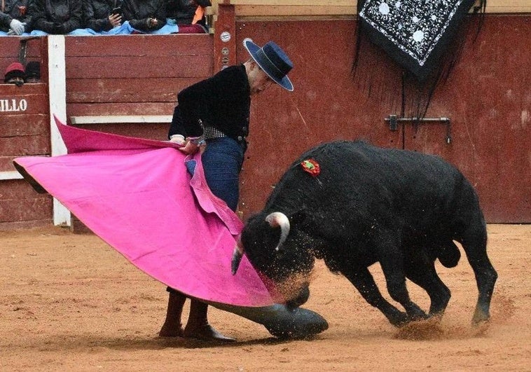 Castillejos de ensueño en Miróbriga